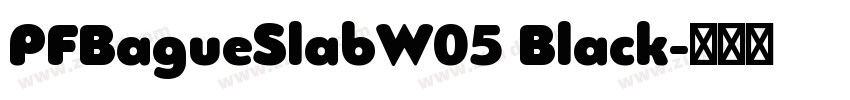 PFBagueSlabW05 Black字体转换